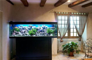 废弃鱼缸扔掉会影响风水吗？有没有梗好的处理方法？