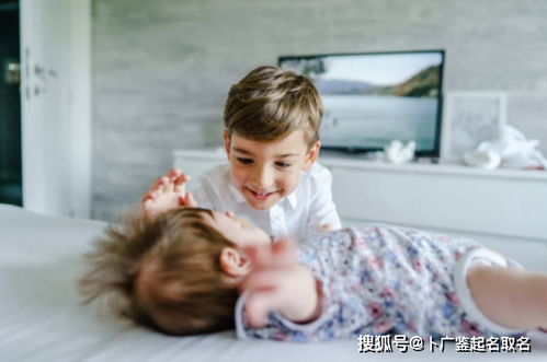 属牛的孩子：沉稳厚重的旋律