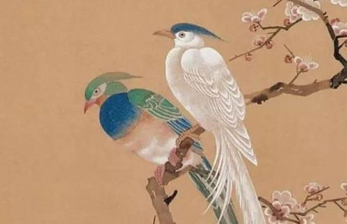 女虎男猪的婚姻关系如何？