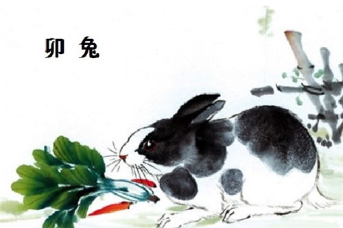 1999年属兔女性今天运势具体如何？