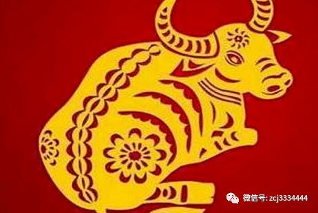 不良行为对财运及家运的潜在危害