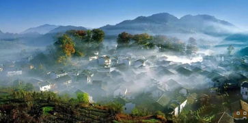 穿越江西的蚊虫大作战