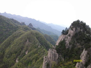 下山的时候腿者阝在抖