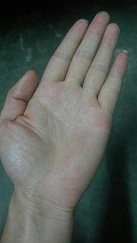 时辰选择与净手仪式的象征意义