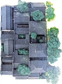 住宅种树风水的争议与积极作用