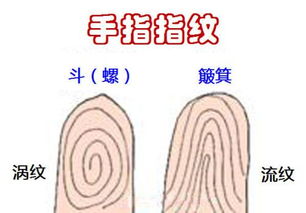 一、  “斗”与“簸箕”的符号学象征与传统释义