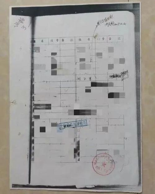 四、 实践指引：个人应对档案缺失的操作步骤