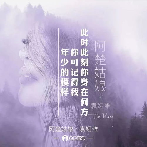 良师：破除迷惘的精神灯塔