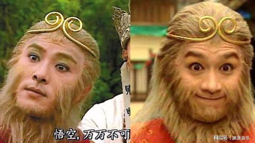 2. 成功隐喻的选择性与随意性