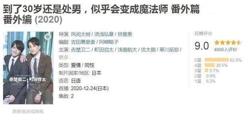 企业内部治理与法律合规：C公司案例分析