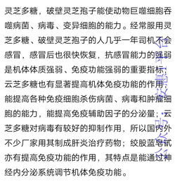 '结论'