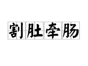 谁嫩将牵肠割肚这一成语巧妙地对应到一个生肖？