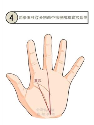 哪种手相被认为是最好的？有没有什么标准或特点？