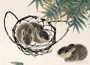 二零一九年属兔1975年出生的人，明天运势如何？