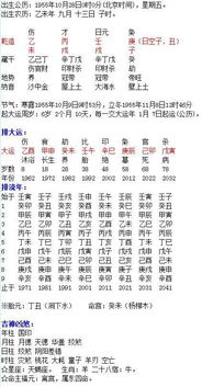 四、 食神配合正官正印之综合职场定位