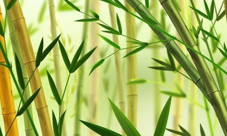 韭菜梦境大揭秘：发财or倒霉？看完笑到抽筋