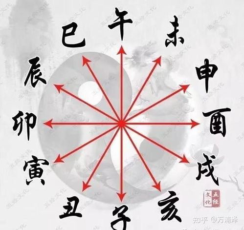 八字四柱有三支合局，这种情况应该如何改写为？