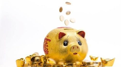 风水龙位摆放存钱罐合适吗？有什么讲究？