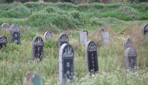 （三）墓向直线冲突与盲疾发生