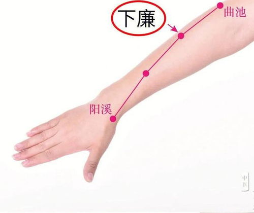 3. 针灸推拿