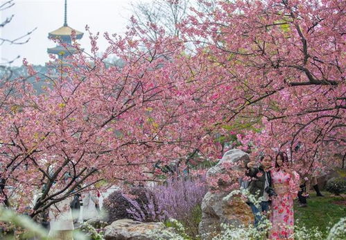 拍照指南：如何在暴雨中拍出大片