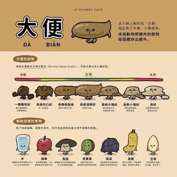 大便干结是否与家居风水布局有直接关联？