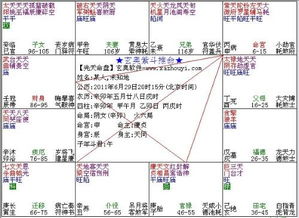 九、 “计划狂热症”对实际施行力的负面影响探讨