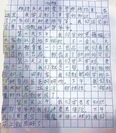 “慧”与“萱”：堪似美好的组合