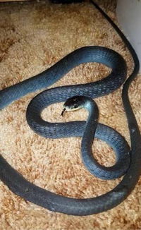 一些常用的汉字（感觉乱七八糟）