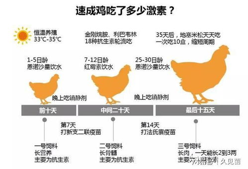 1）历史持续发展演进视角下的改变轨迹