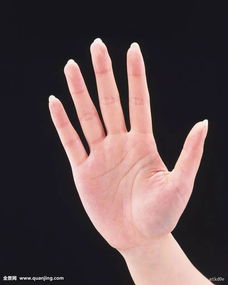 ：手相学视域下的婚姻忠诚度与命运轨迹探究