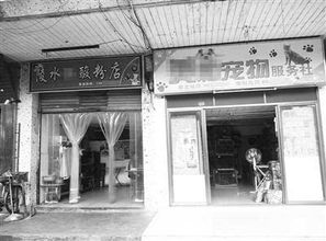 宠物店动物粪便气味弥漫，是否会造成店内气场污浊，进而影响顾客进店意愿？