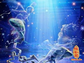 双鱼座的守护花是什么它的花语又代表着怎样的寓意呢？