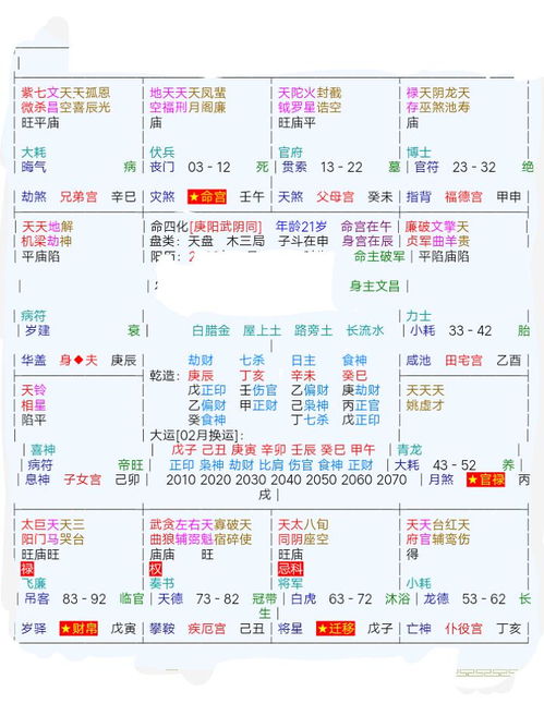 天梁星详解之学术探析