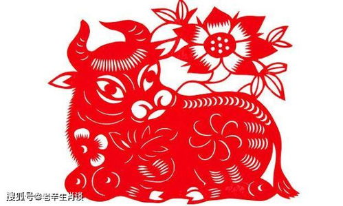 2026年属鸡女性4月运势和属牛人全年运势分别是什么？