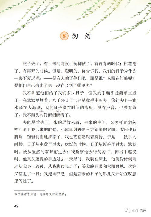 ：时光之速与生肖文化的交叉映照