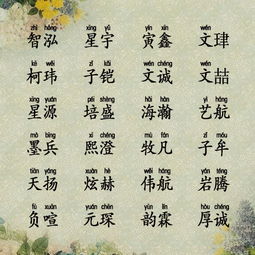 二、当代审美视野下优质起名案例集锦