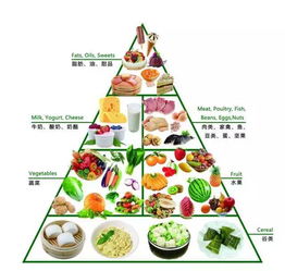 三、 多样化膳食搭配与综合考量