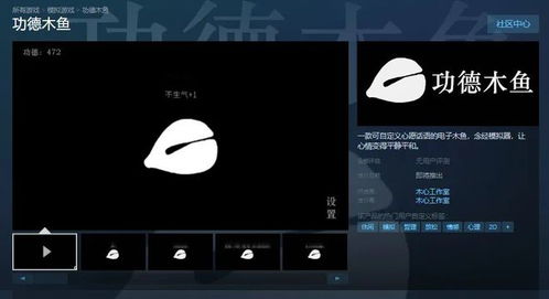 二、 柔软件功能与采用方法：技术手段实现及操作流程的详尽描写