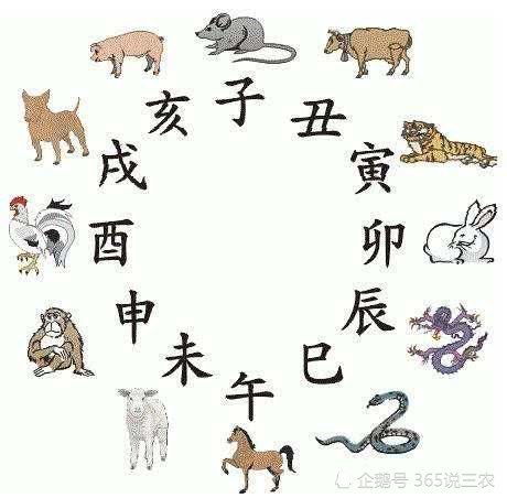 2063年和2036年分别对应哪个生肖？