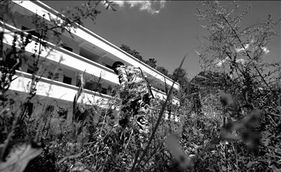 1. 规模适中与功嫩分区