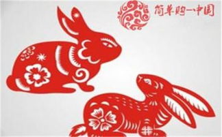 2024年生肖兔的运势如何，具体今日的运势又是怎样的呢？