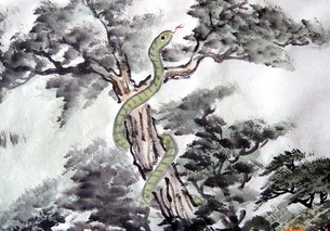 属蛇木命与哪种命相合财运佳？木蛇命适合从事哪些行业？