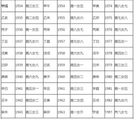 一、  八字合婚配对项目的系统性分析