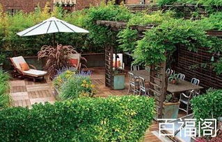 腊梅庭院风水有哪些忌讳需要注意呢？