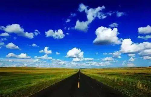 草原上的其他惊喜