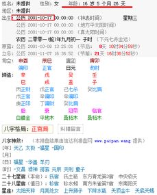 五、公历具体信息复核及干支排盘详解