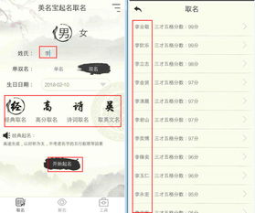 宝宝起名大师：榴开白子咨询大师的惊人智慧