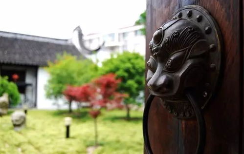 五、 奇异光芒与死不瞑目的姿态