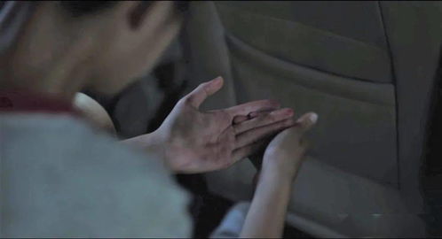 二、 案例呈现：异色毛发显现之典型情境